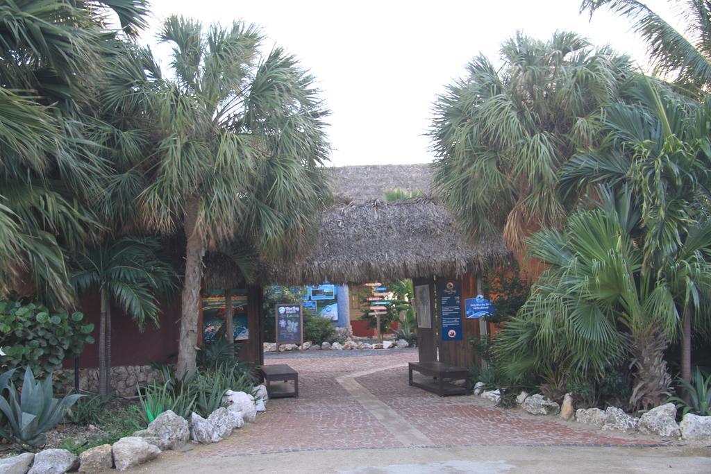 Appartement Golf En Beach, Dushi Na Kas, 36 *