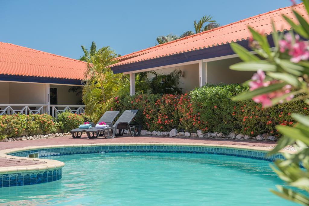 Apartment Blue Marlin