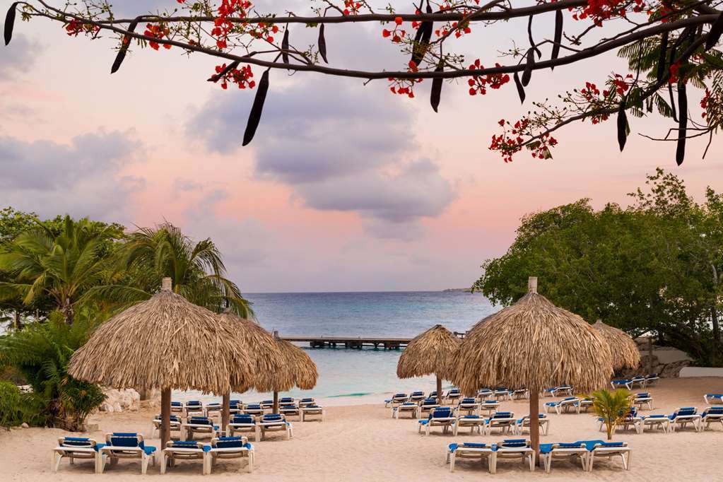 Hilton Curacao Hotel 4*