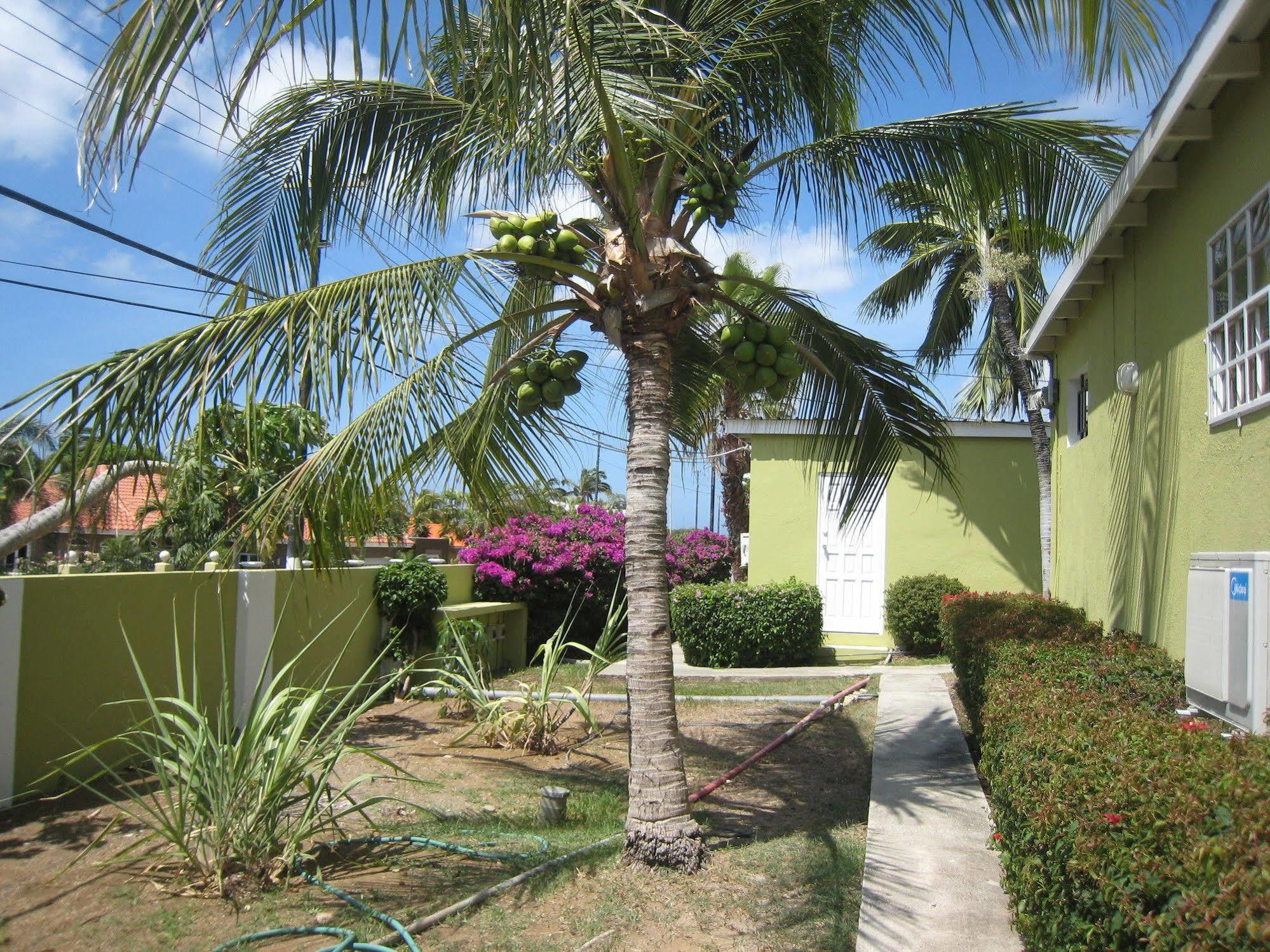 Apartment Alablanca Residents