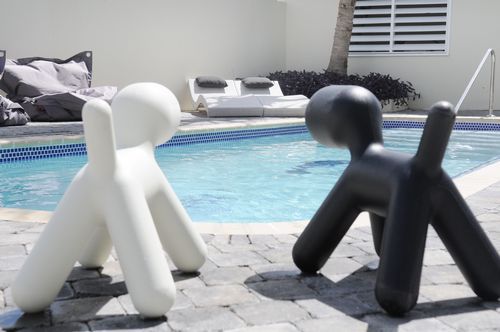 Dolphin & Wellness Curacao 3* Willemstad