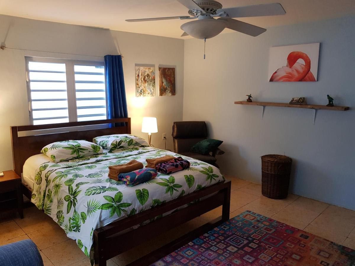 Charming One Block From The Sea Willemstad