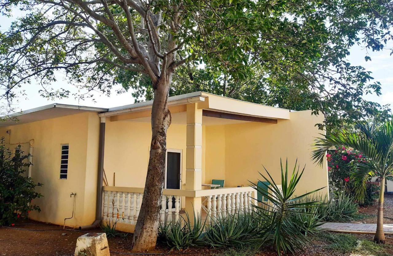 Apartment Wayaca Mini Willemstad