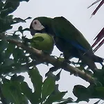 Villa Raven\'S Paradise