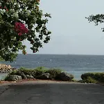 Dorado Divine Oceanview Apartments