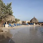 Dolphins Jump@Curacao Ocean Resort