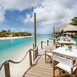 Dolphins Jump@Curacao Ocean Resort