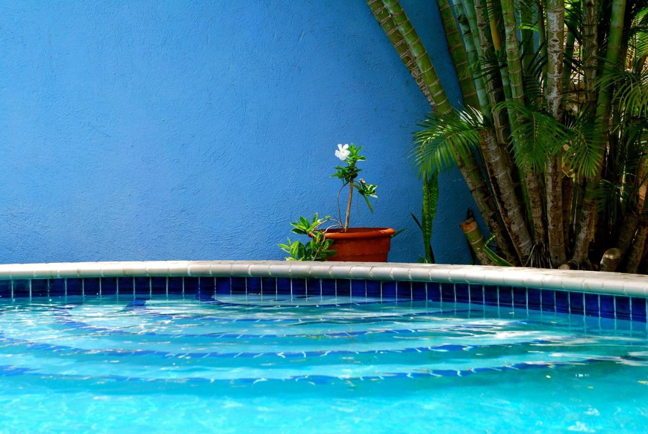 Caribbean Flower Appartement *