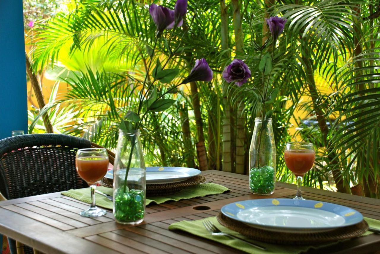 Caribbean Flower Appartement Willemstad