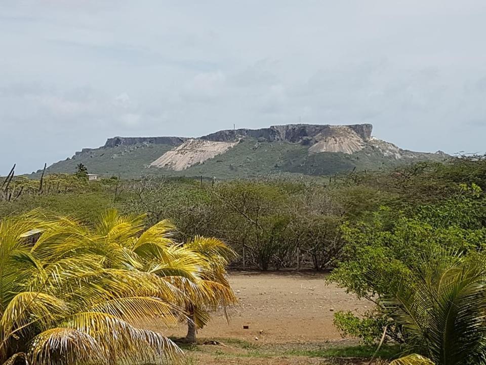 Sabana Cras Barikahel Willemstad