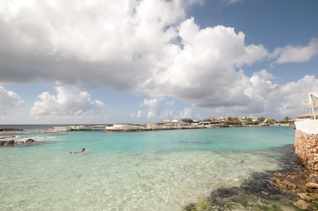 Dolphins Jump@curacao Ocean * Willemstad