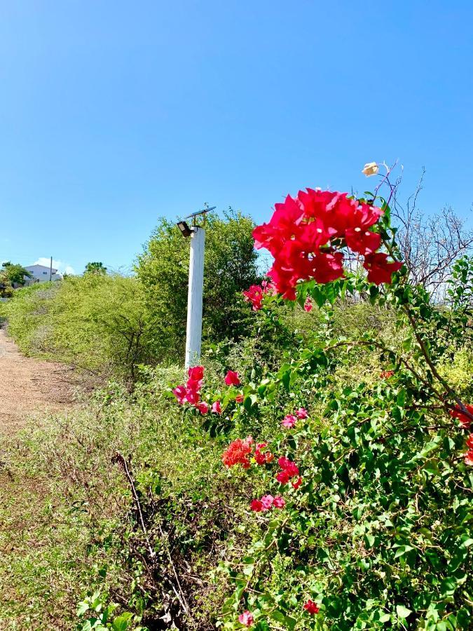 Fonteintop Casa de férias Willemstad