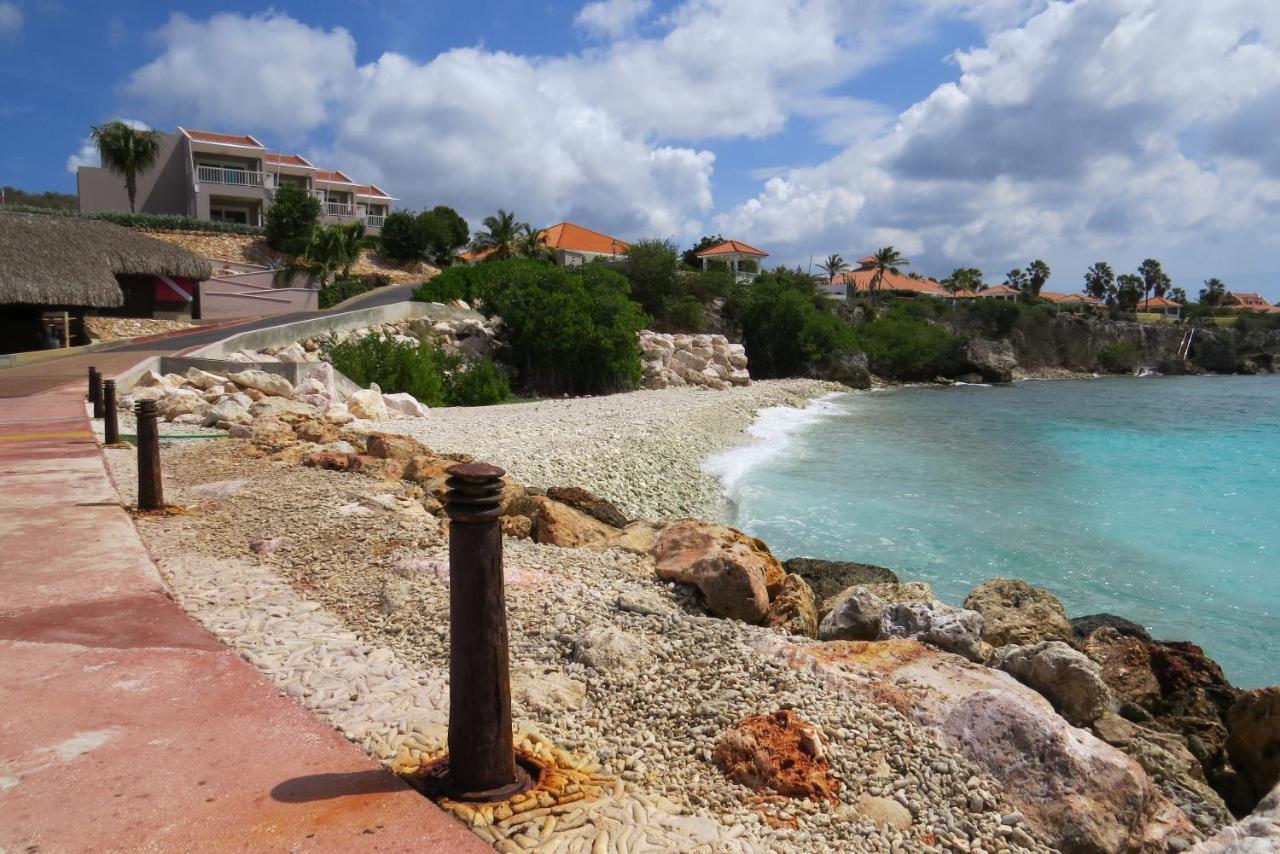 Coral Estate 19 - Architectural Eye-catcher With Private Pool * Willibrordus