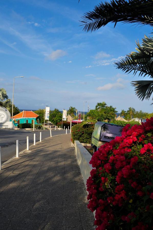 Hibiscus House 4* Jan Thiel