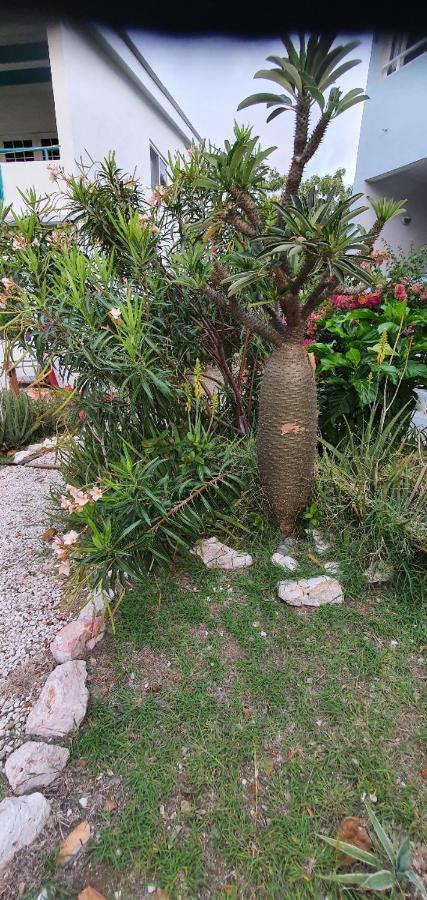 Club Seru Coral Ap Toekan Apartment Santa Catharina