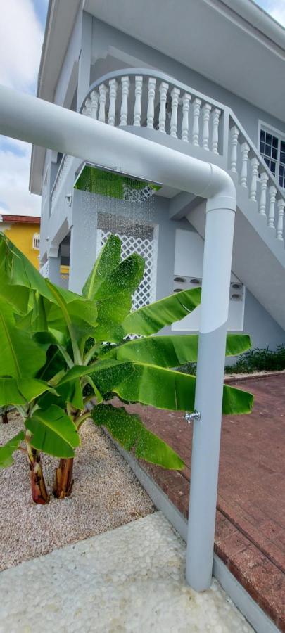 Ravens's Paradise Azul Apartamento Willemstad
