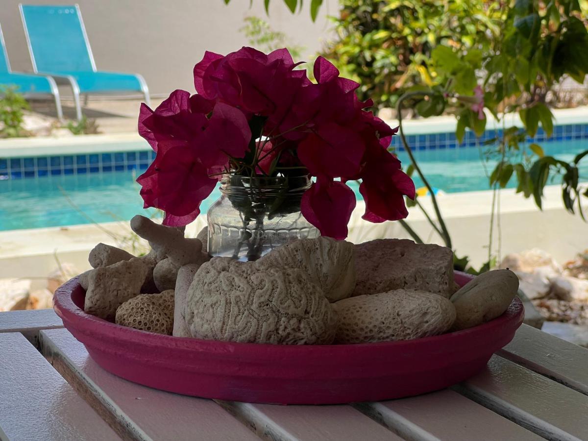 Tropical Breeze Curacao Apartment Santa Catharina