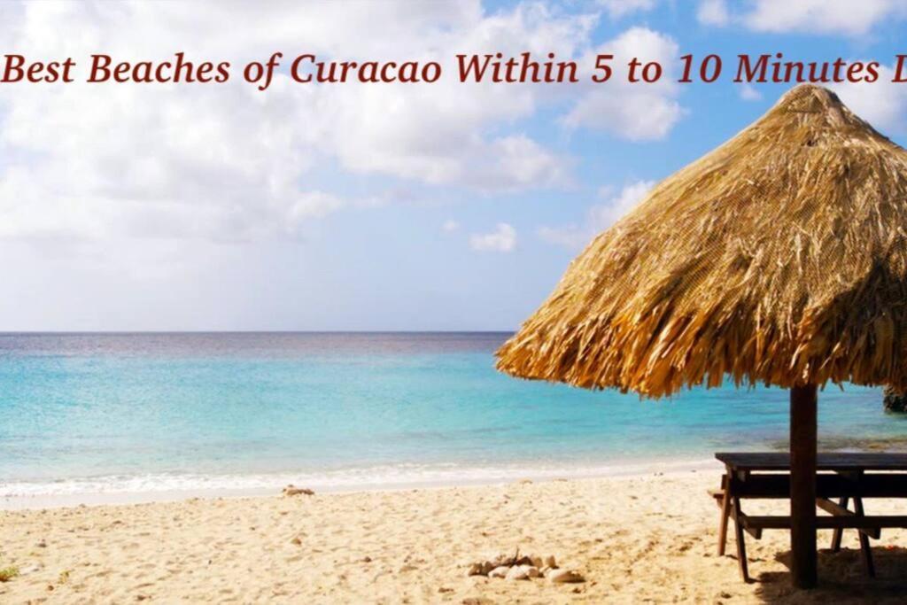 Ocean Front Villadelmar-beach Access-private Pool-10 Guests- * Willibrordus