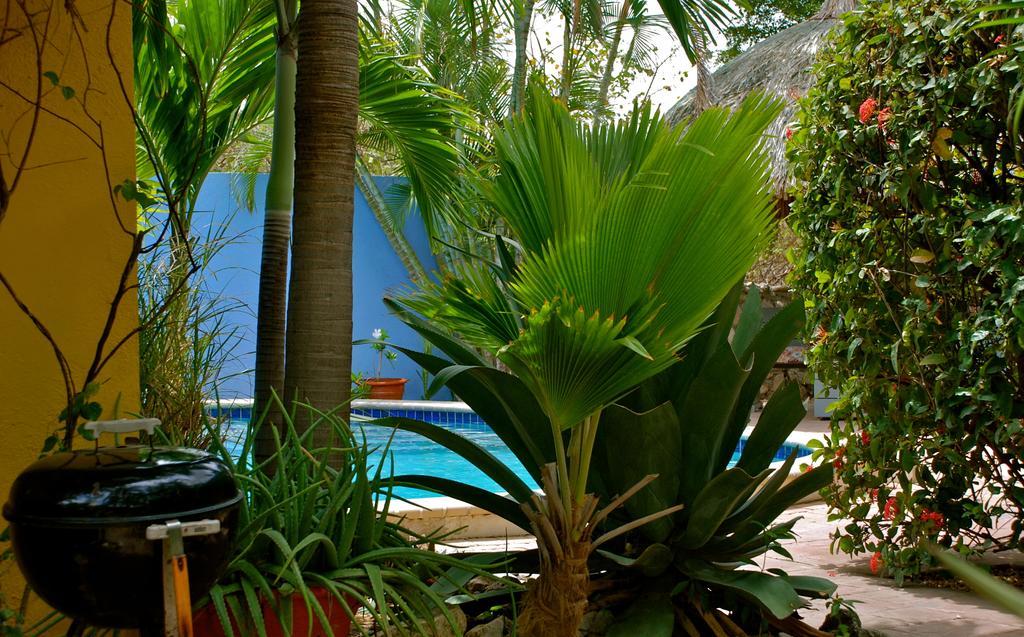 Caribbean Flower Appartement