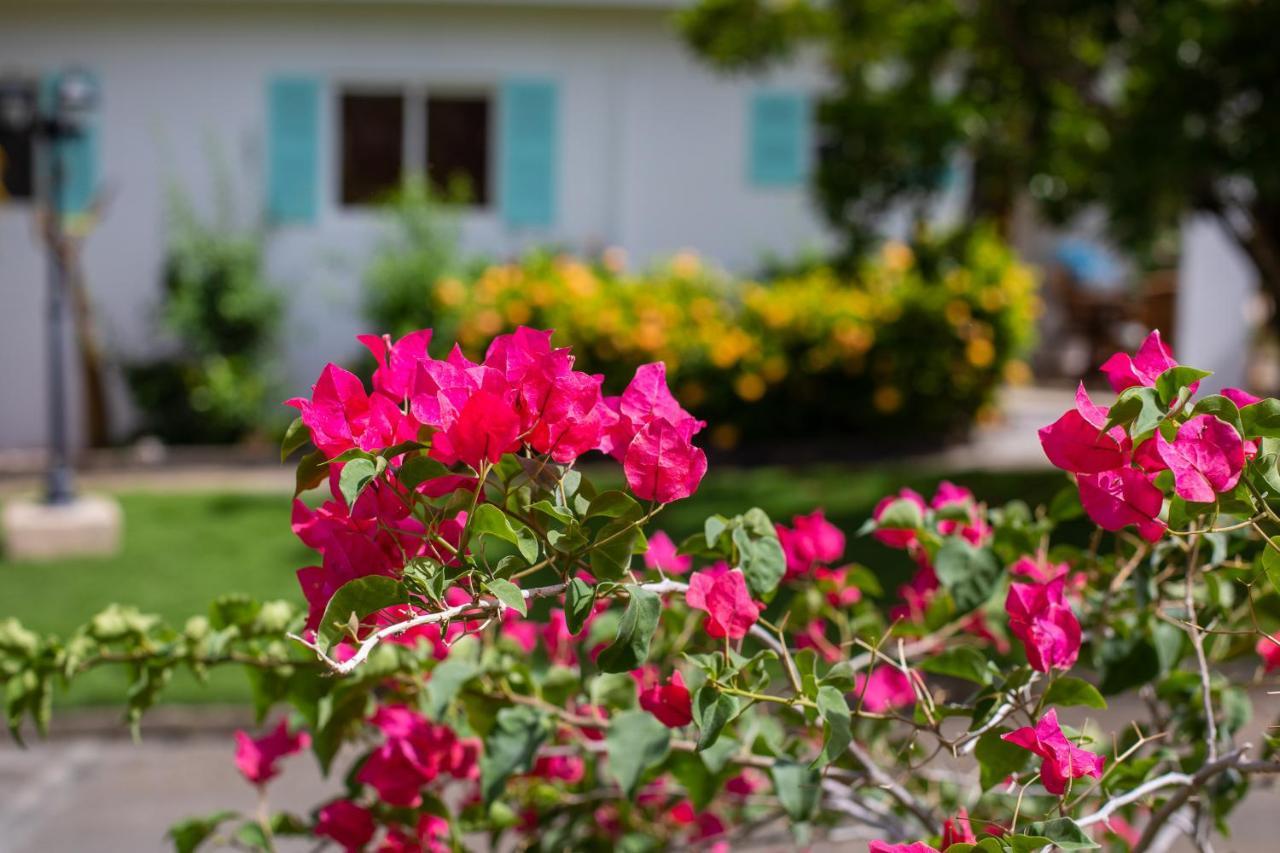 Tuk Tropical Boutique Jan Thiel Resort 4*
