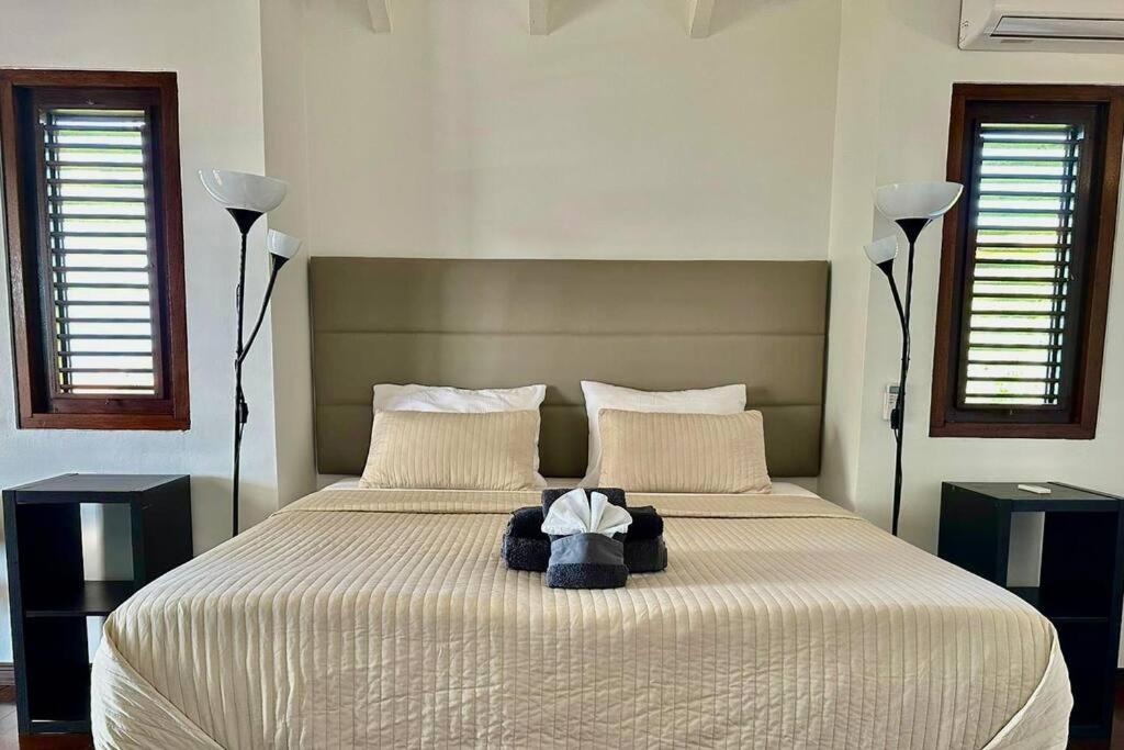 Villa Villadelsol-ocean Front Resort-pool-up To 8 Guests-walk To The Willibrordus