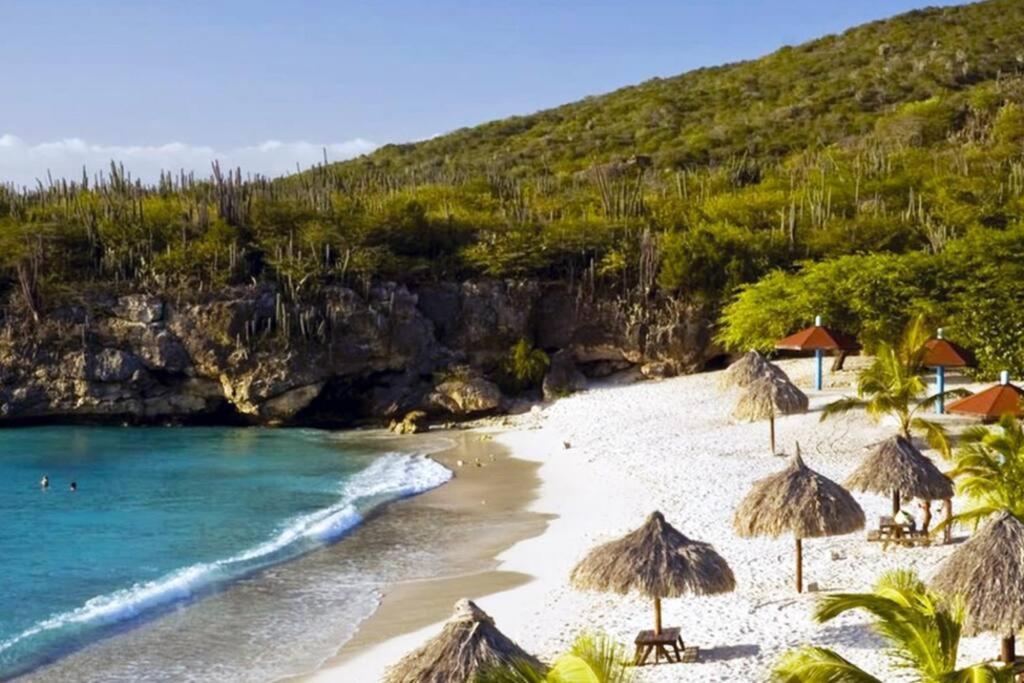 Villadelsol-ocean Front Resort-pool-up To 8 Guests-walk To The