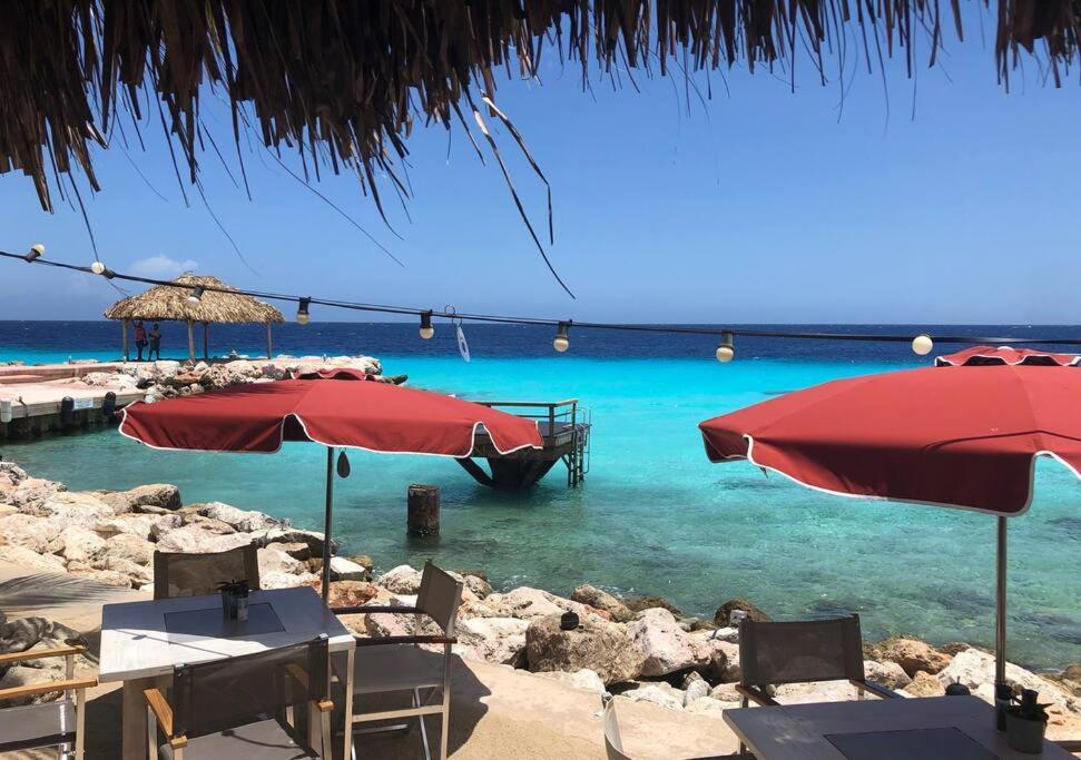 Villadelsol-ocean Front Resort-pool-up To 8 Guests-walk To The *