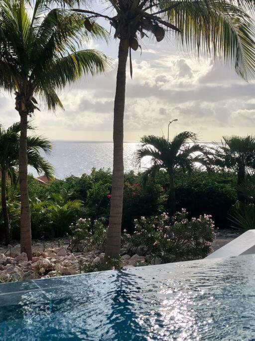 Villa Villadelsol-ocean Front Resort-pool-up To 8 Guests-walk To The *