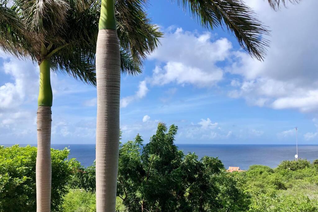 Villadelsol-ocean Front Resort-pool-up To 8 Guests-walk To The Willibrordus