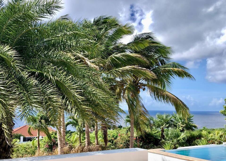 Villadelsol-ocean Front Resort-pool-up To 8 Guests-walk To The Villa