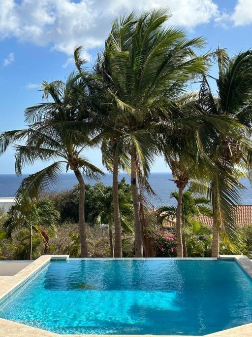 Villa Villadelsol-ocean Front Resort-pool-up To 8 Guests-walk To The *