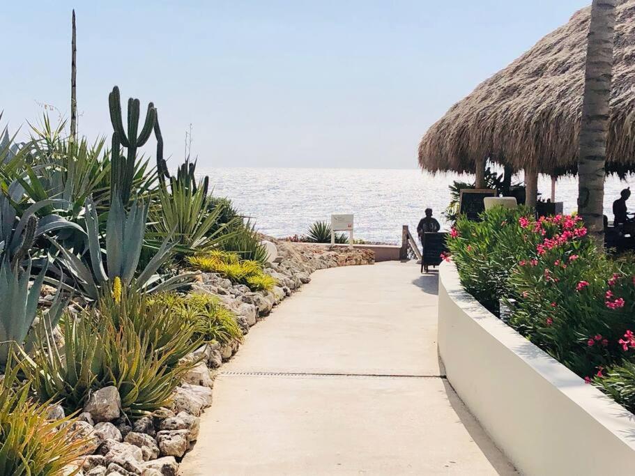 Villadelsol-ocean Front Resort-pool-up To 8 Guests-walk To The Villa