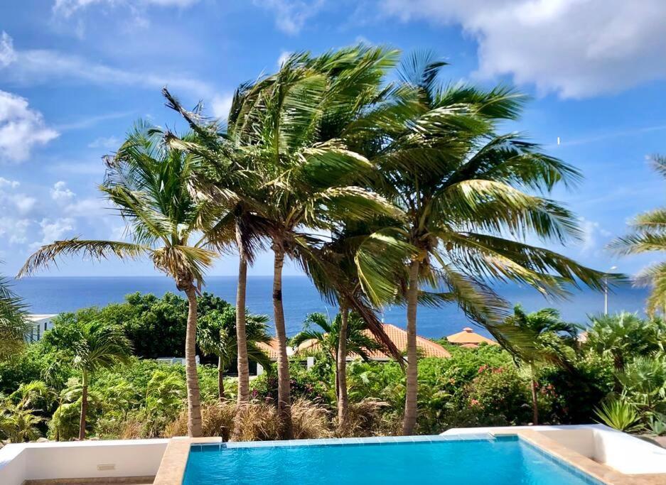 Villa Villadelsol-ocean Front Resort-pool-up To 8 Guests-walk To The *