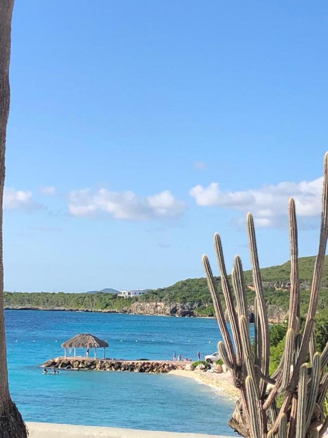 Ocean Front Villadelmar-beach Access-private Pool-10 Guests- Pousada *