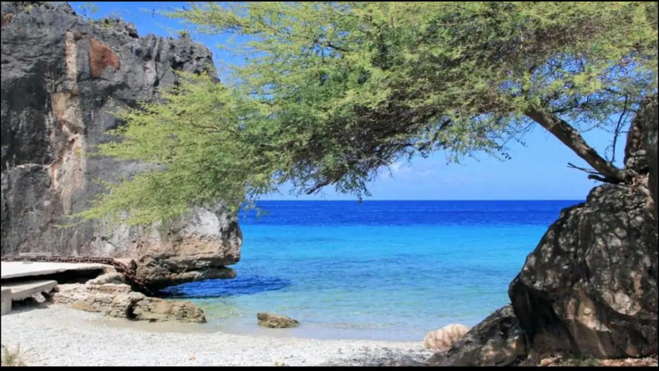 Villa Villadelsol-ocean Front Resort-pool-up To 8 Guests-walk To The Willibrordus