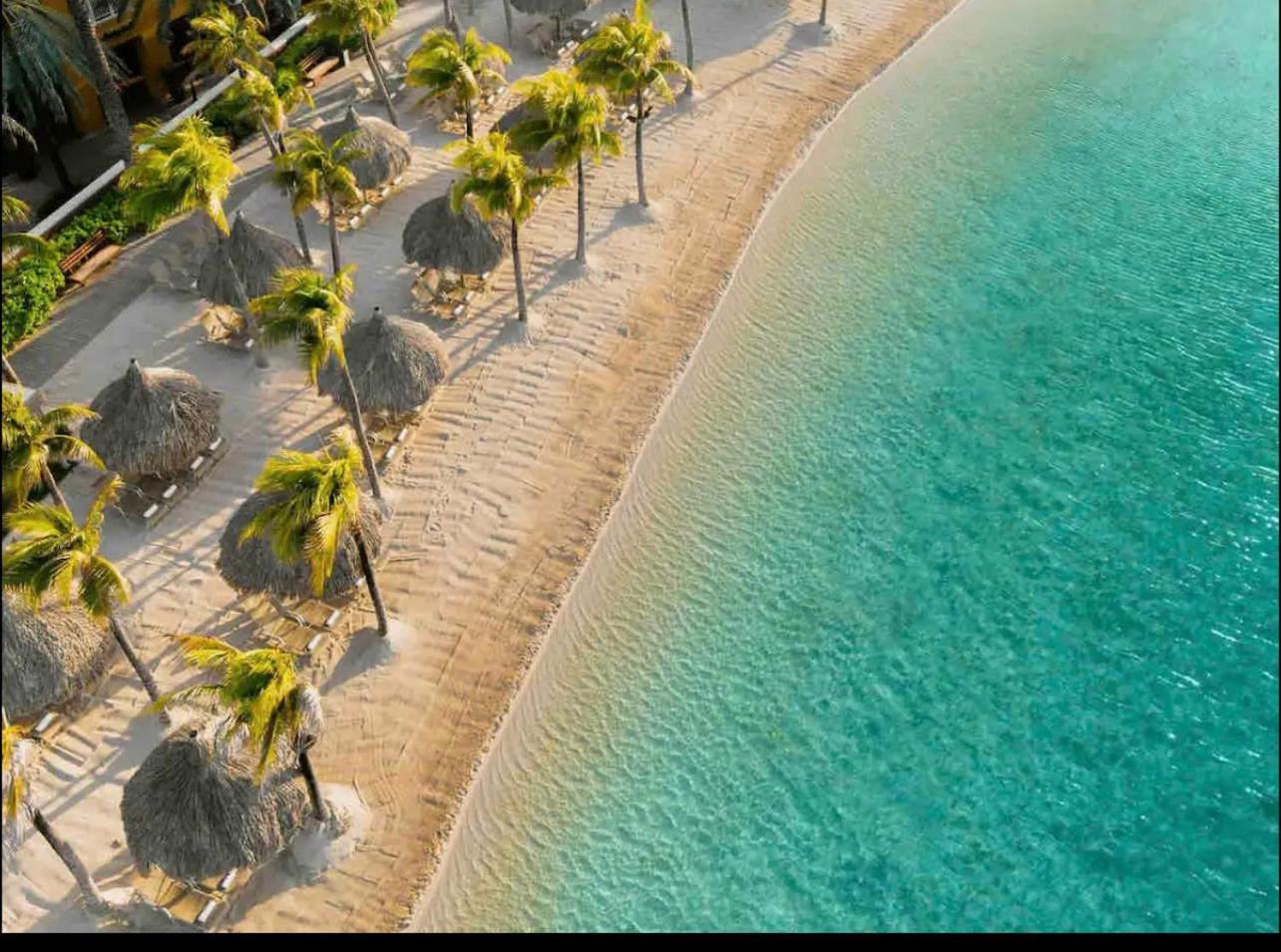 Villadelsol-ocean Front Resort-pool-up To 8 Guests-walk To The Willibrordus