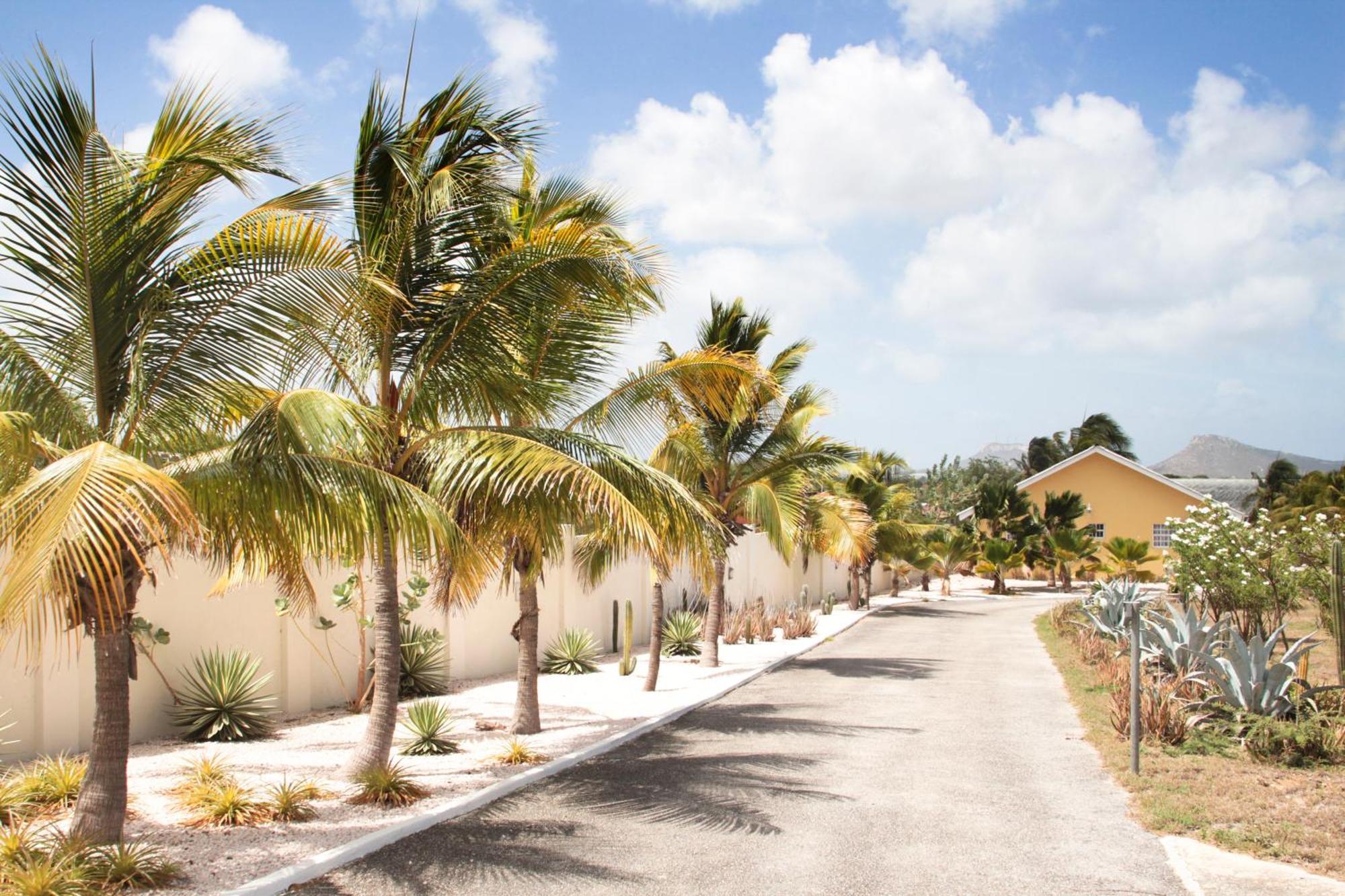 Abc Curacao
