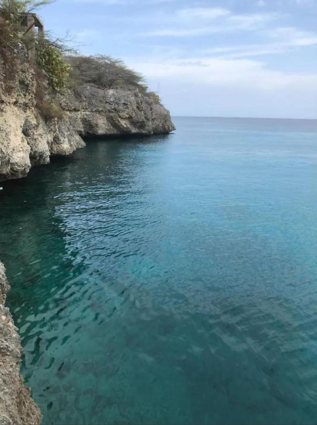 Tortuga