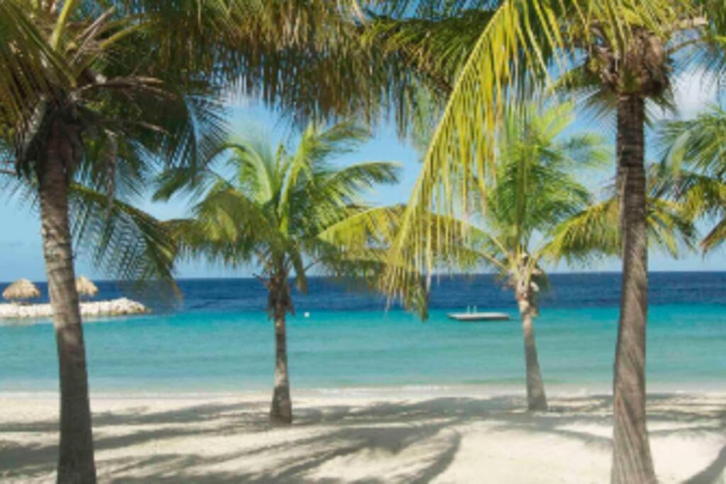 Tropical With Ocean View Apartment Blue Bay