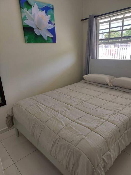 Cozy Ocean View - Jamella Holiday home *
