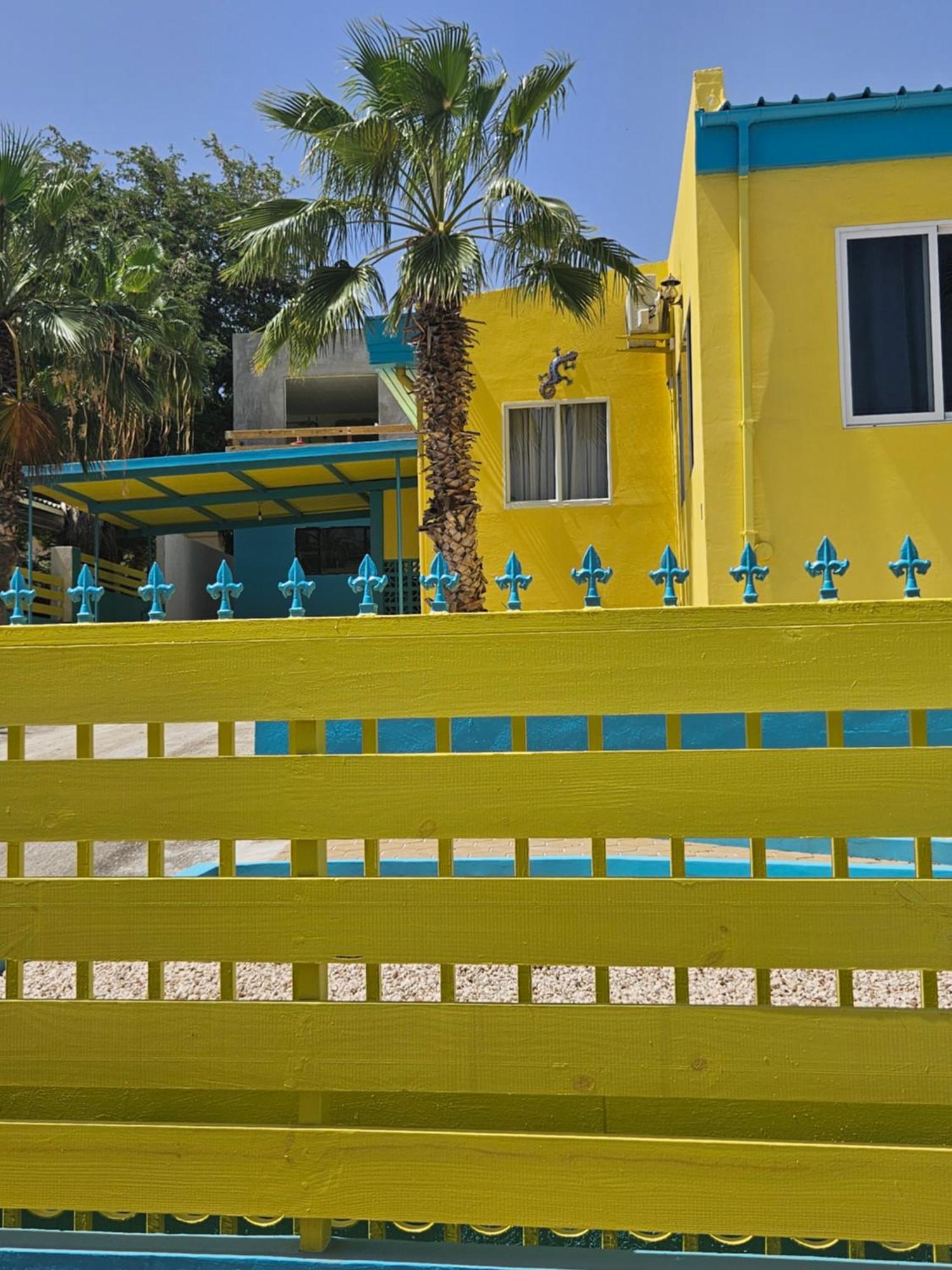Raven's Casa Del Sol * Willemstad