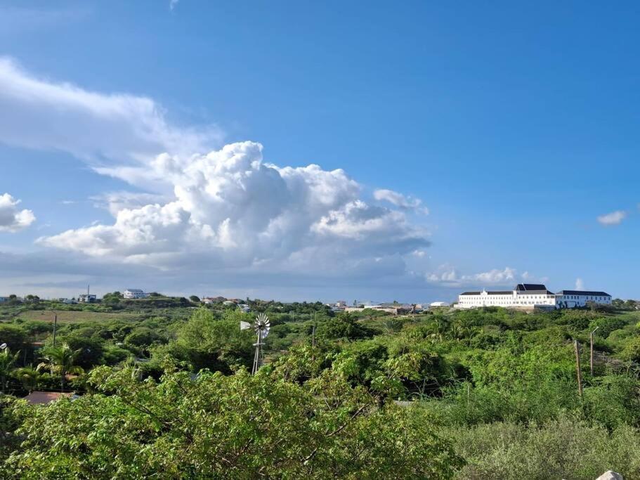 Harmony Haven * Willemstad