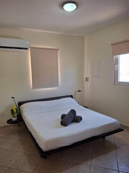 Apartment Harmony Haven