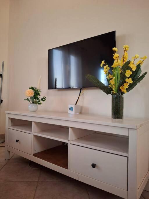 Harmony Haven Apartment