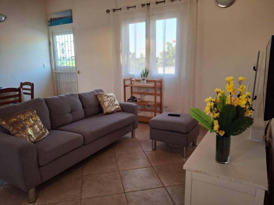 Apartment Harmony Haven