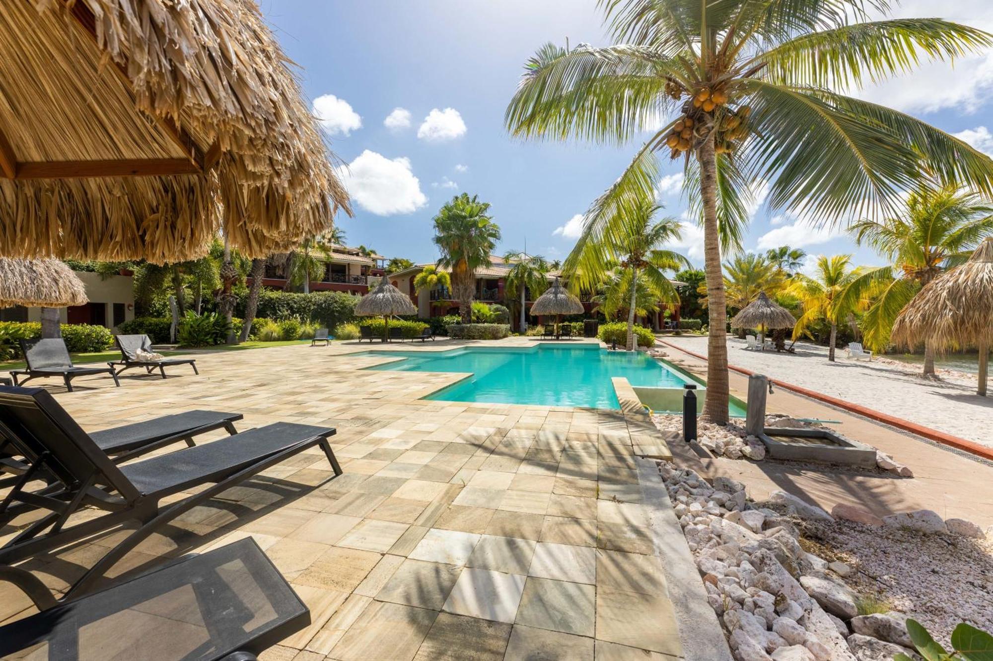Stylish With Pool Near Jan Thiel Apartment