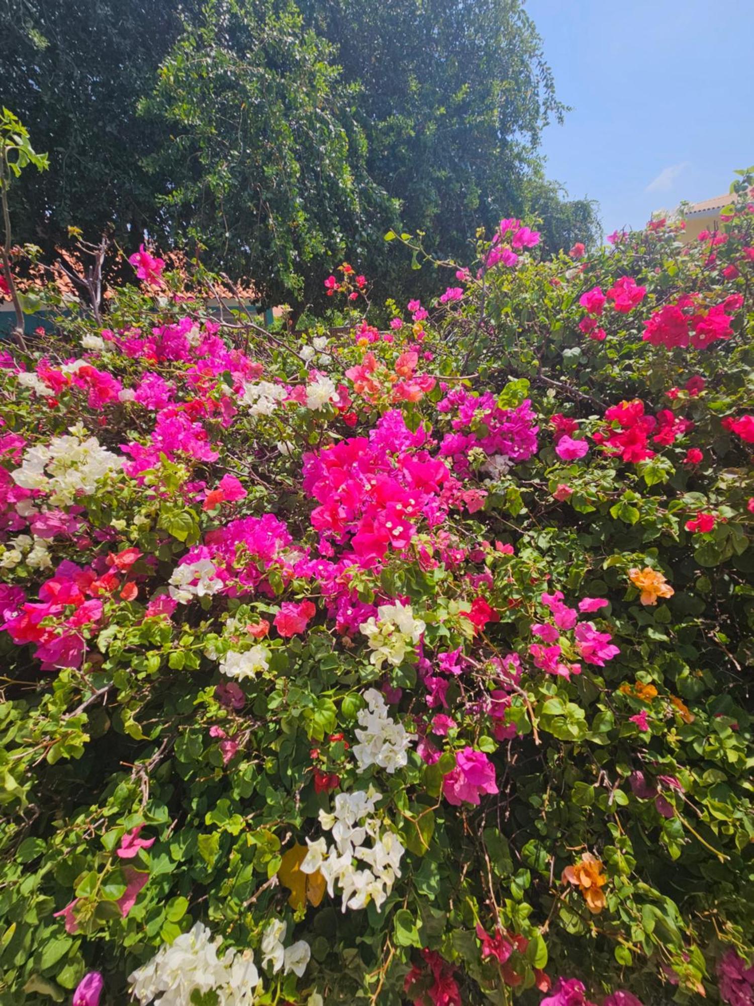 Holiday home Karawara