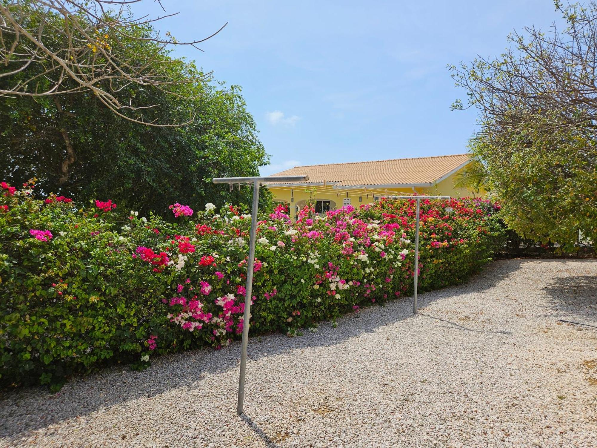 Karawara Holiday home Fontein