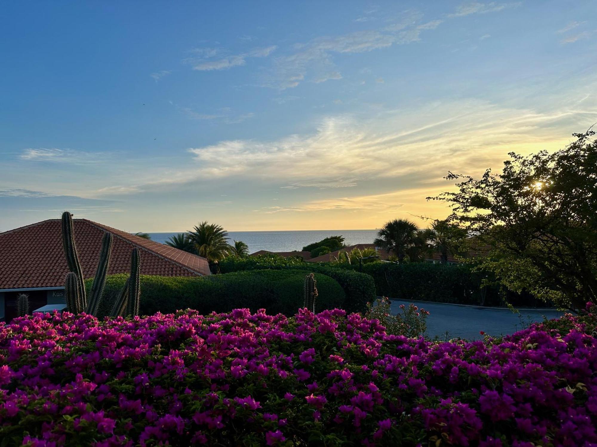 Boca Gentil Sunrise 9 * Jan Thiel