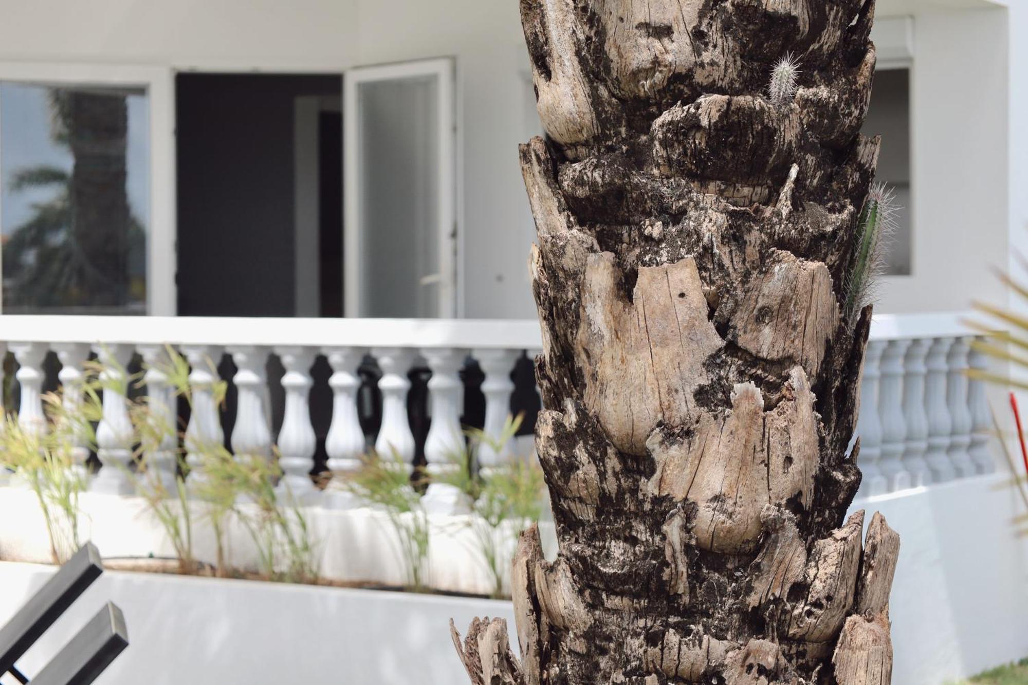 Palm Crest Apartamento